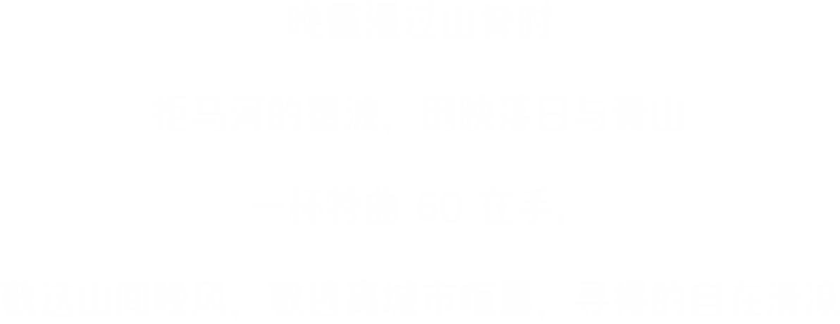 文本4