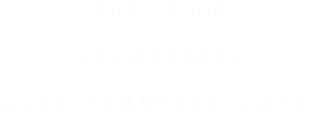 文本3