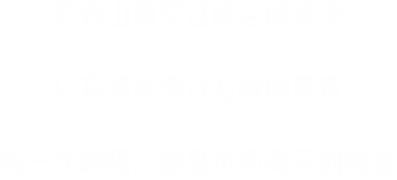 文本2